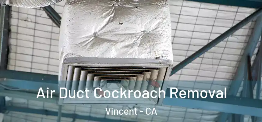  Air Duct Cockroach Removal Vincent - CA