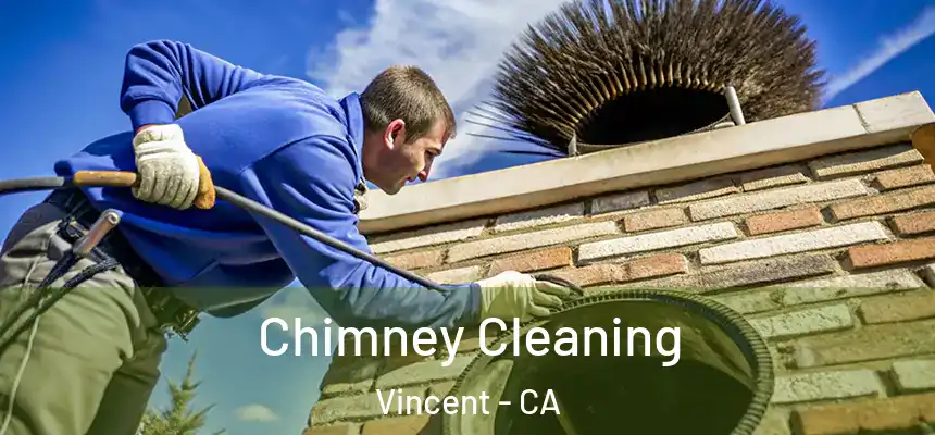 Chimney Cleaning Vincent - CA
