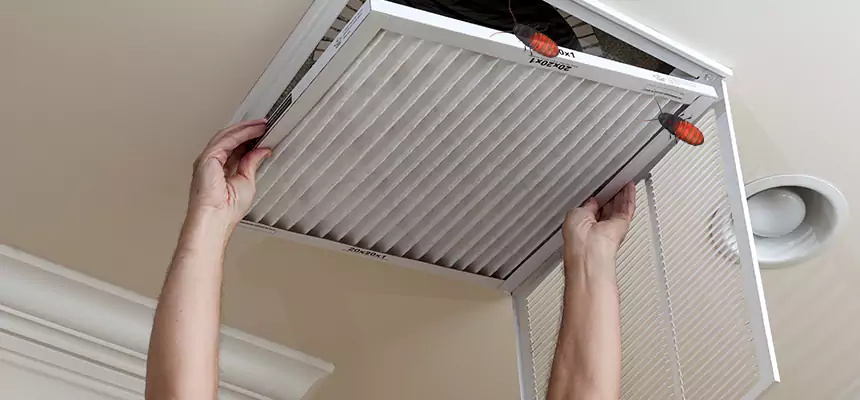Preventive Cockroach-Proofing for Ducts in Vincent