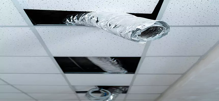 Affordable HVAC Sanitizing After Pest Removal in Vincent