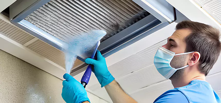 Proactive Dryer Vent & Auxiliary Duct Pollen Cleanup in Vincent, CA