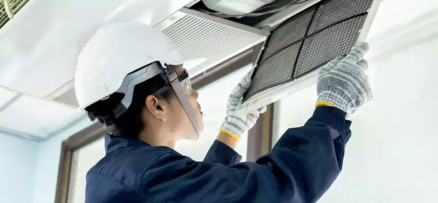 Our Mold & Mildew Removal from Air Ducts Services in Vincent, CA