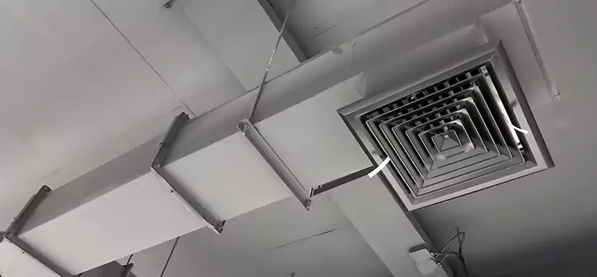 Our Rodent Droppings In Vents Services in Vincent, CA