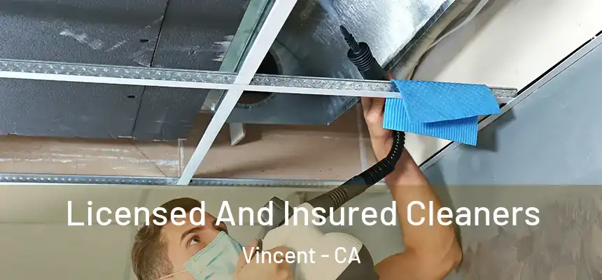  Licensed And Insured Cleaners Vincent - CA