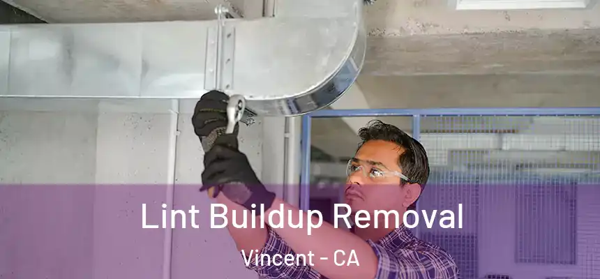  Lint Buildup Removal Vincent - CA