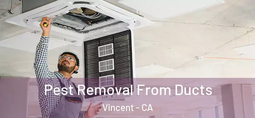  Pest Removal From Ducts Vincent - CA