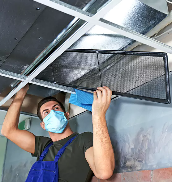 About Air Duct Bacteria Removal in Vincent