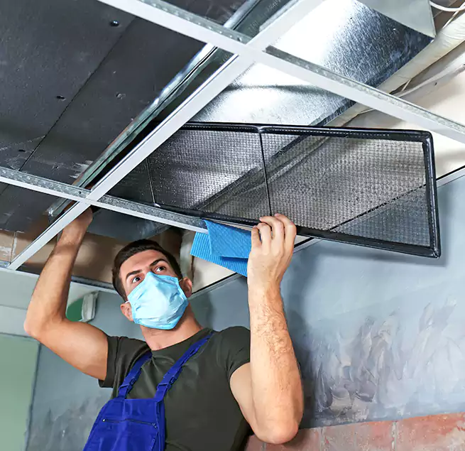 Why Homeowners Businesses Trust Us in Vincent, CA